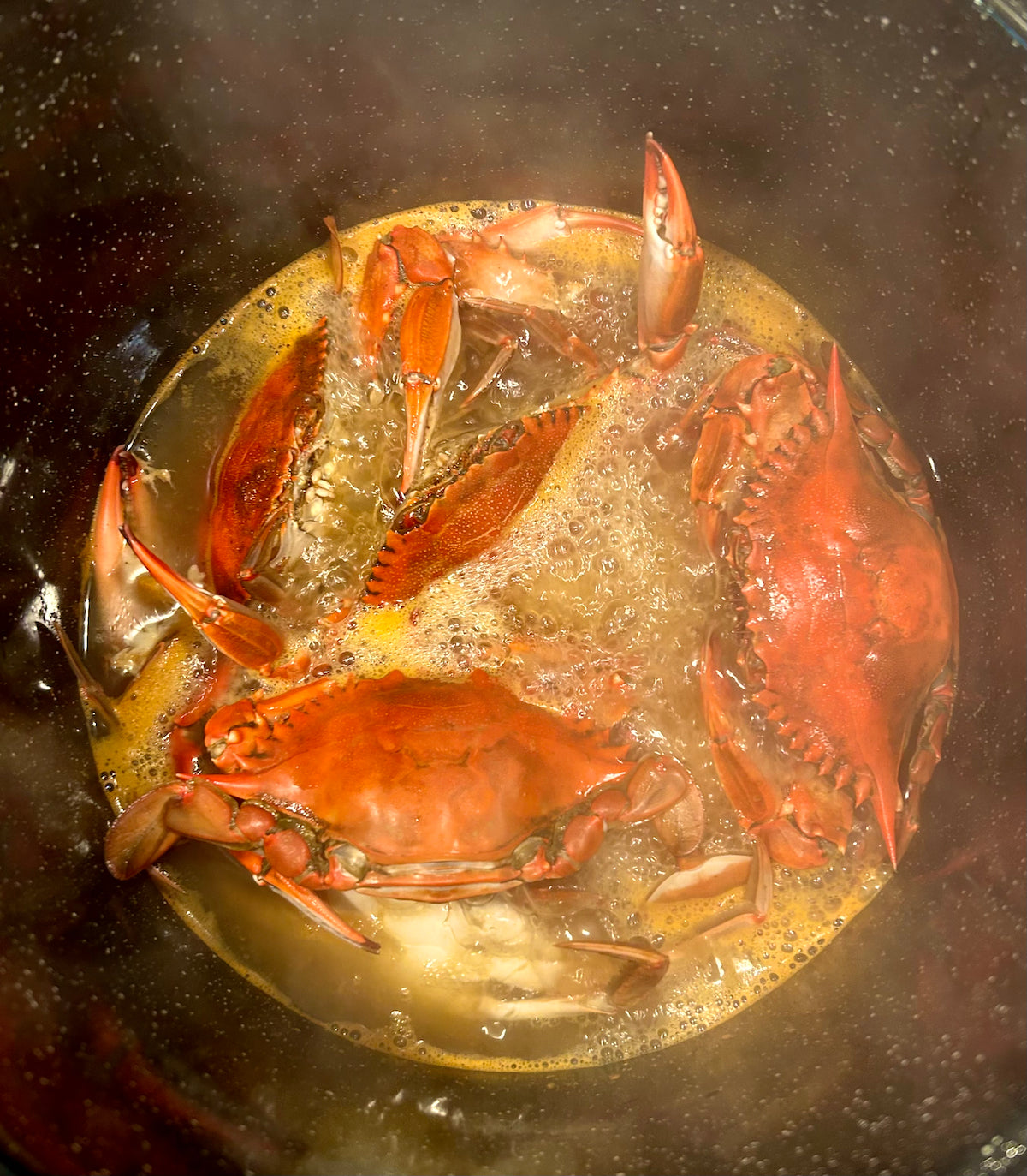 Crabs cooking in a boil pot
